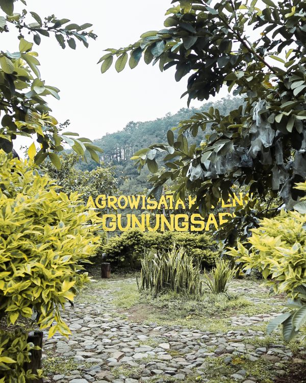 Agrowisata Gunungsari Kopeng
