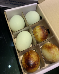 Telur Asin Yes Aja Klalen Brebes