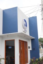 Konogawa Coffee & Culture