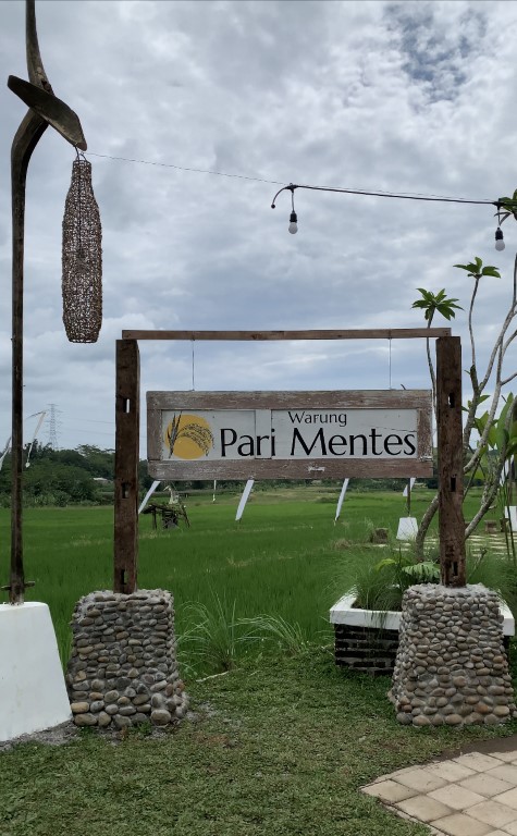 Pari Mentes