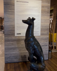 Stay Habitat Pulang ke Uttara