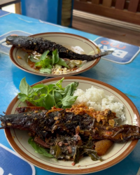 Mangut Lele Mbah Marto Jogja