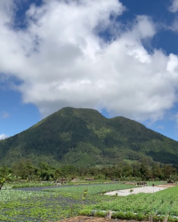 Senja Pagi Cafe & Eatery