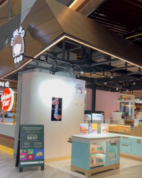 Ashta Mall District8