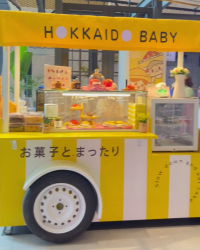 Ashta Mall District8